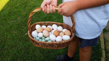 a teenager holds a basket of homemade organic eggs in his hands.eco-farm. multicolored eggs of white, beige color.