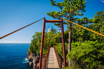 Suspension Bridge in Japan