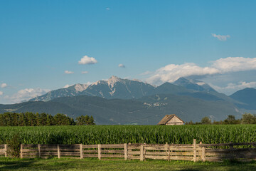 a wooden hut near a corn field surrounded by wooden fence with mountains in a background