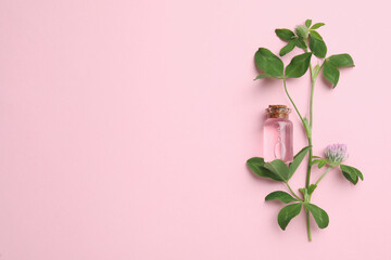 Beautiful clover flowers and bottle of essential oil on pink background, flat lay. Space for text