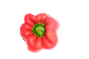 Big red pepper on white background