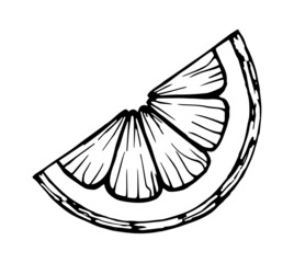 isolated hand drawn black contour of lemon or orange half slices