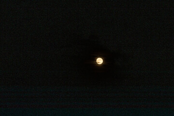 YELLOW MOON IN TREES