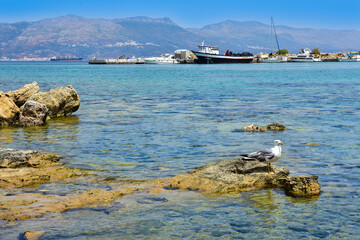 Fototapeta na wymiar boats in the Greek bay, sea and rocks 
