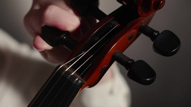 Musician adjusts the violin, with hand pegs violin, close-up. Concept of correct sounding of a string musical instrument.