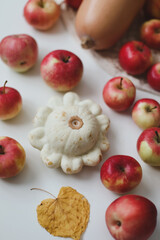 autumn flatlay with sqush, pumpkin and red apples on a white background top view