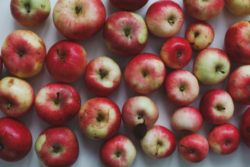 autumn background with fresh ripe red apples isolated on white top view
