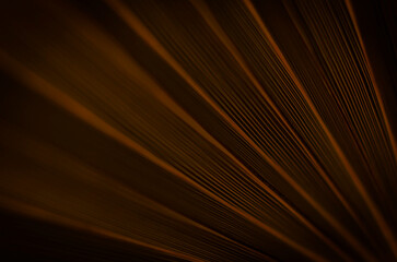 Dark brown background with diagonal lines. Sheet.