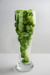 a beer glass filled with hop cones