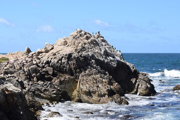 Fototapeta na wymiar Birds on top of rocks near the ocean at 17 Mile Drive in Monterey, California.