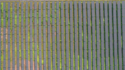 Solar power farm from drone view,Green energy technology