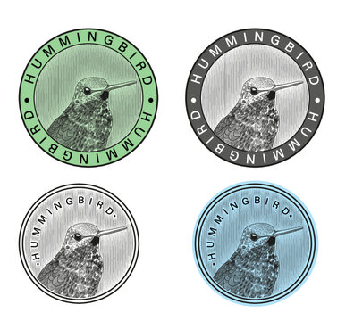 Logotipo de colibr&iacute; con cuatro variantes de color