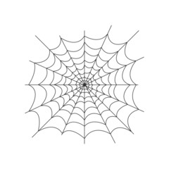 Image of the spider web. The net is a trap for insects. Spider web, a symbol of Halloween. Vector illustration isolated on a white background