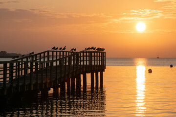Fototapeta na wymiar Silhouette of a jetty with gulls in bright gold color at sunrise.