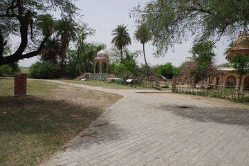 インド　世界遺産ケオラデオ国立公園