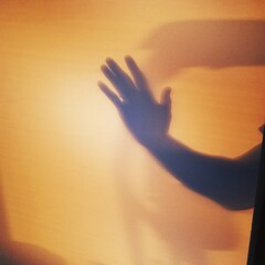 Shadow Hand