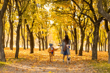 Young beautiful mother spends time on a walk with her beloved little son in the autumn park. Happy family enjoy autumn days