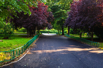 Empty alley in Cismigiu park in Bucharest, capital city of Romania