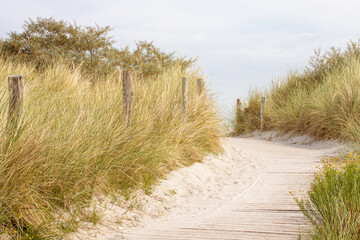 path in the sand dunes on Baltic Sea