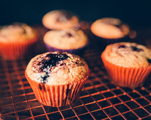 Warm Muffins on a Cooling Rack