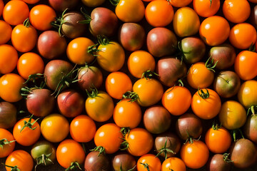A group of fresh, bright, ripe tomatoes. Small fruits of red and yellow color. Vegetarianism. Wallpaper.