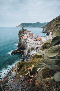 Village of Vernazza against ocean with cactus framing