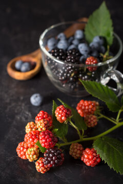 Blackberries and blueberries from organic culture