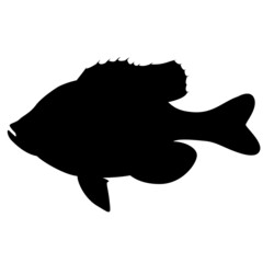 bluegill fish, vector illustration,  black silhouette, side
