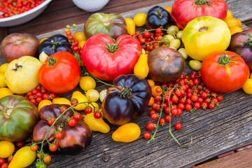 Heirloom tomatoes full of colors and taste