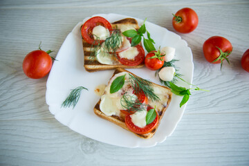 fried hot toast with mozzarella and tomatoes in a plate