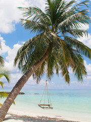Hanging hammock on a palm tree on a beach with white sand and blue ocean of the Maldives