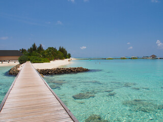 Obraz premium Sunny day with white sand, blue water and green bushes in the Maldives. Copy space for text.