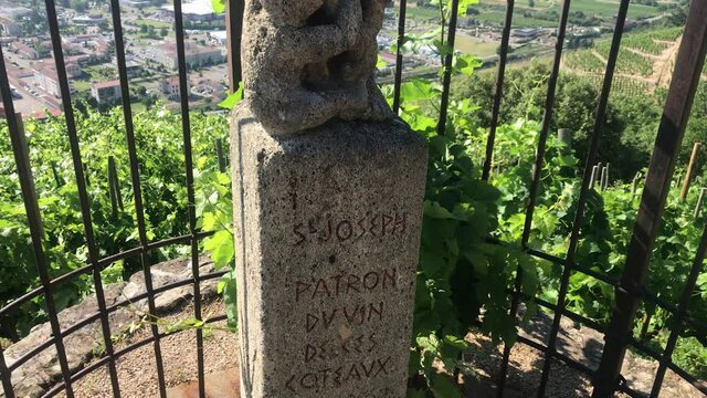 Vineyard and the Saint Joseph statue, saint of wine and hills