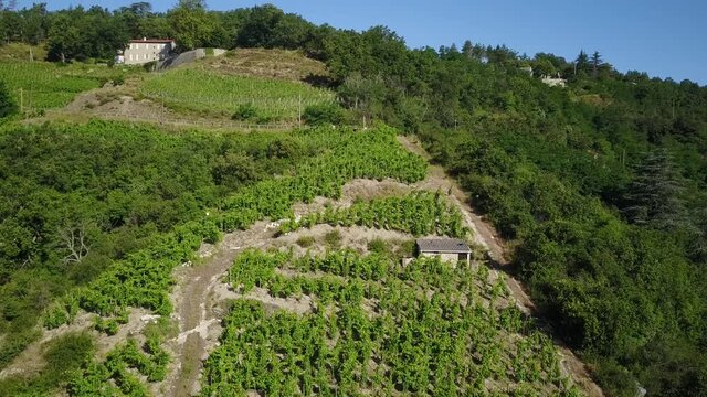 Aerial, A little House Among The Vineyard,Road in the Background