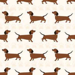 Seamless pattern with dogs of the Dachshund breed. Vector illustration flat with a pet cute animal on a beige background.