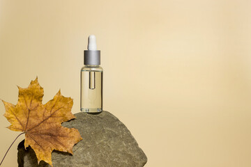 cosmetic oil for the face in a jar with a dropper on a stone with a maple leaf. Beige background. Autumn theme.