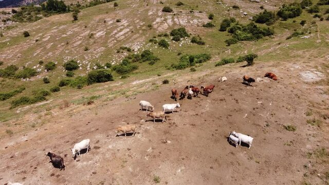 veduta aerea delle montagne nei pressi di Monte Guadagnolo, vicino a Roma