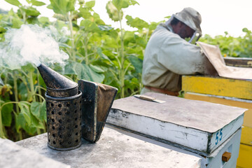 Old Beekeeper Smoker smokes white smoke. Apiary background. Grungy smoker stands on the hive. Beekeeping apiary - work at the apiary