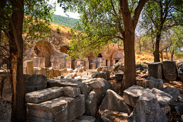 Fototapeta premium Ephesus ancient city in Selcuk, Turkey