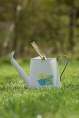 watering can in the grass