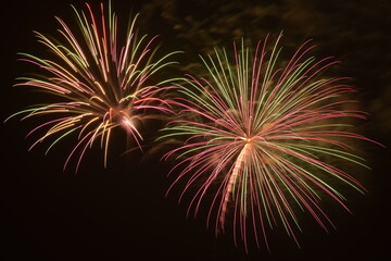 fireworks in the night sky