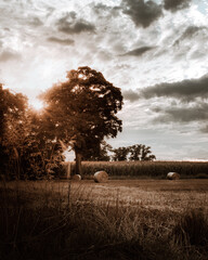 sunset in the Polish countryside © Jakub