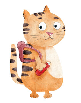 Cute watercolor illustration of a ginger kitten with stripes goes to school. Hand-drawn picture of a little tiger cub with a backpack and a pencil