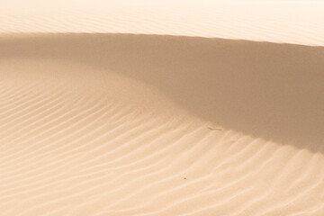 Skagen, Denmark - september 28 2014: Fine texture and lines of sandy dunes in a desert.