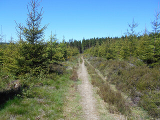Sentier de randonnée dans les Hautes-Fagnes en Wallonie