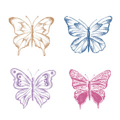 Naklejka na ściany i meble Butterfly hand drawn vector illustrations. 