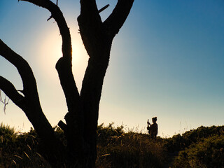 Silueta de una chica joven haciendo fotografias con el movil en un bosque al atardecer