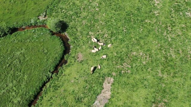 survol de l'Aubrac en Auvergne