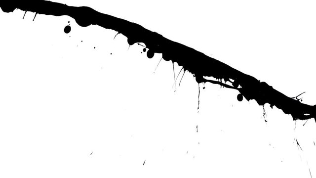Black paint splashes on white background forming abstract blots, drops and drips. Artistic ink splatter. Graphic wallpaper with effect of spilled black watercolor. Close up. Slow motion ready 59.94fps
