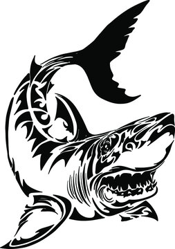 Black and white vector illustration of shark. Silhouette of a sea monster. Terrible bloodthirsty predator. A monster of the ocean depths. A symbol of aggression and anger. Angry fish with big teeth